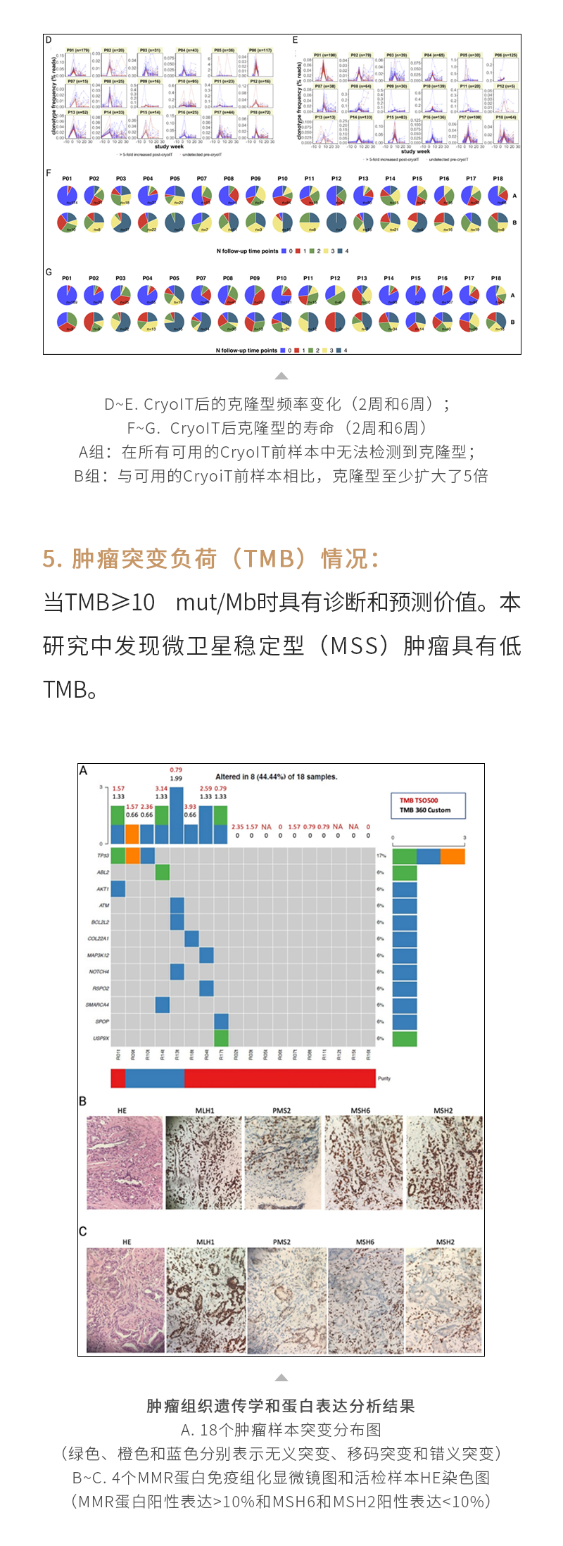 TwxQYod61mmWcc6gklBuP3C7mH1CWcwfJmDN7a92